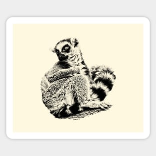 Lemur Sticker